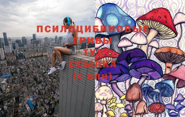 mix Алексеевка