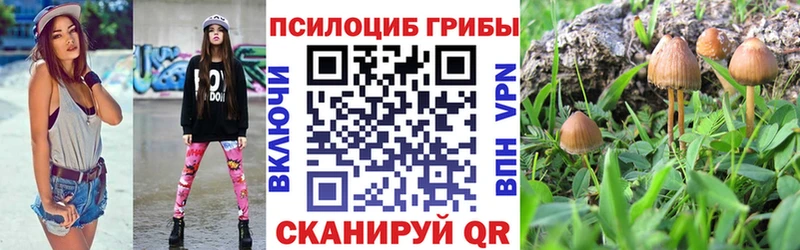 сколько стоит  Козловка  Галлюциногенные грибы Psilocybine cubensis 